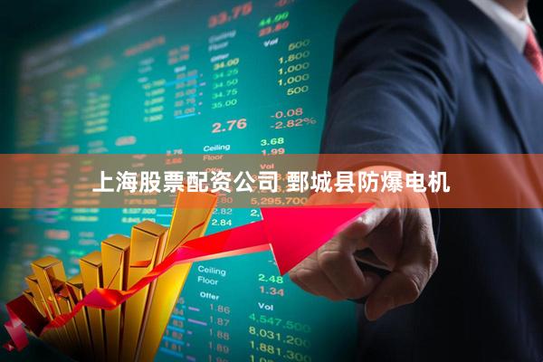 上海股票配资公司 鄄城县防爆电机