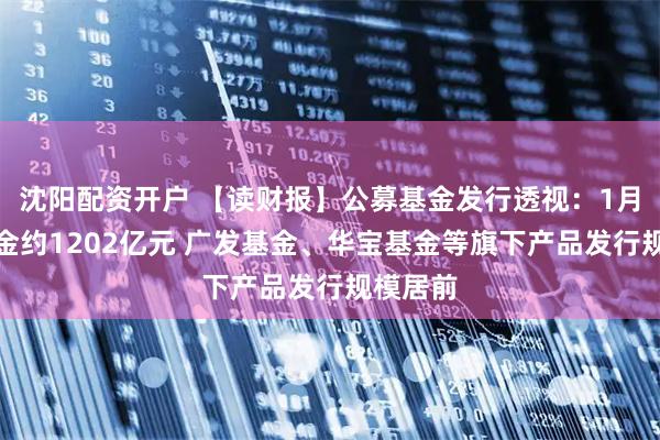 沈阳配资开户 【读财报】公募基金发行透视：1月新发基金约1202亿元 广发基金、华宝基金等旗下产品发行规模居前